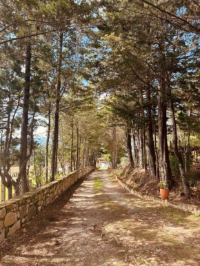 Lo Nuestro Hotel Casa Campestre Villa de Leyva